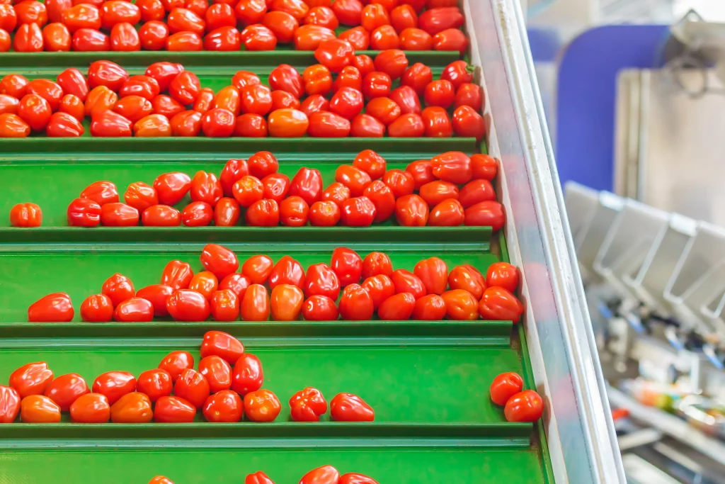 Bande transporteuse alimentaire avec tasseaux pour convoyeur de montée